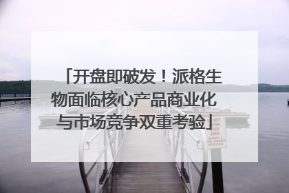 开盘即破发！派格生物面临核心产品商业化与市场竞争双重考验