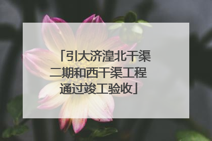 引大济湟北干渠二期和西干渠工程通过竣工验收