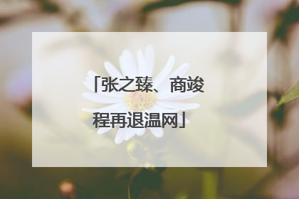 张之臻、商竣程再退温网