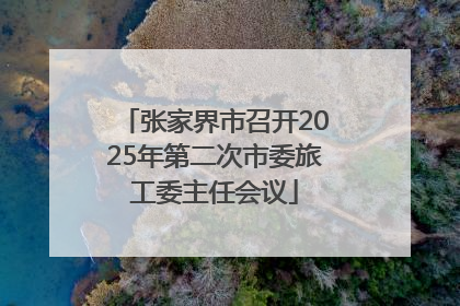 张家界市召开2025年第二次市委旅工委主任会议