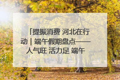 提振消费 河北在行动｜端午假期盘点——人气旺 活力足 端午经济“热浪”迭起