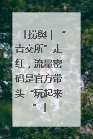 捞舆｜“青交所”走红，流量密码是官方带头“玩起来”