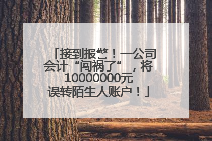 接到报警！一公司会计“闯祸了”，将10000000元误转陌生人账户！