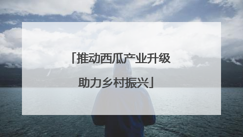 推动西瓜产业升级 助力乡村振兴