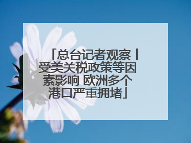 总台记者观察丨受美关税政策等因素影响 欧洲多个港口严重拥堵