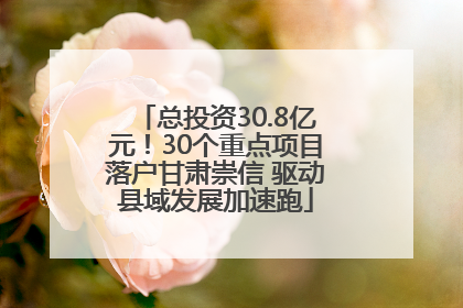 总投资30.8亿元！30个重点项目落户甘肃崇信 驱动县域发展加速跑