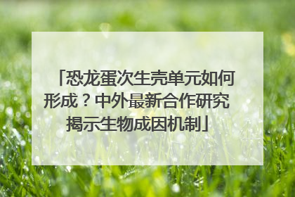 恐龙蛋次生壳单元如何形成？中外最新合作研究揭示生物成因机制