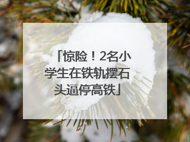 惊险！2名小学生在铁轨摆石头逼停高铁