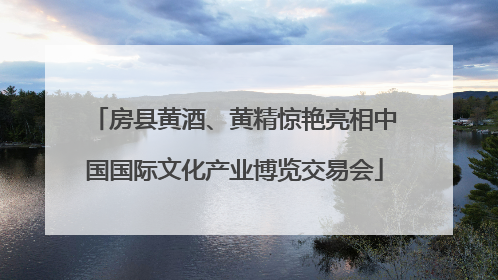 房县黄酒、黄精惊艳亮相中国国际文化产业博览交易会