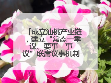 成立油桃产业链，建立“常态一季一议、要事一事一议”联席议事机制，山东省日照市莒县果庄镇——13个党小组“全周期”育果