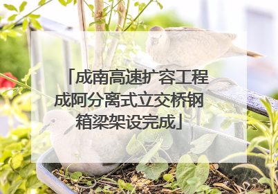 成南高速扩容工程成阿分离式立交桥钢箱梁架设完成
