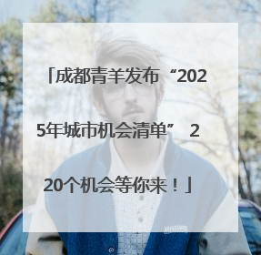 成都青羊发布“2025年城市机会清单” 220个机会等你来！
