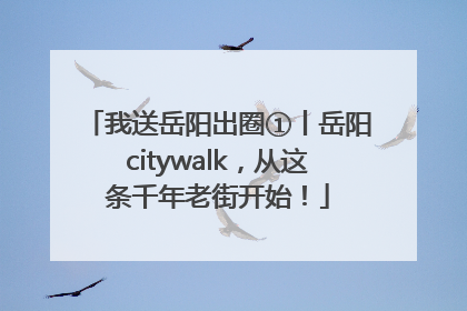 我送岳阳出圈①丨岳阳citywalk，从这条千年老街开始！