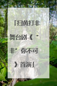扫黄打非舞台剧《“非”你不可》首演