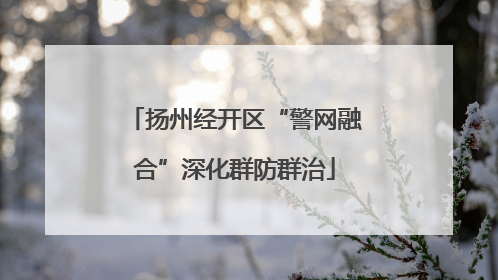 扬州经开区“警网融合”深化群防群治