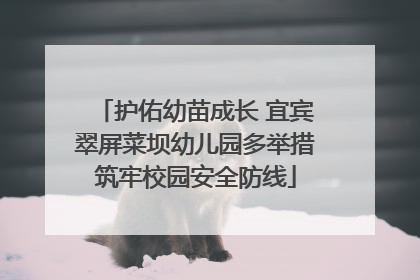 护佑幼苗成长 宜宾翠屏菜坝幼儿园多举措筑牢校园安全防线