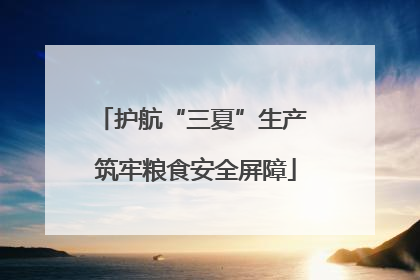护航“三夏”生产 筑牢粮食安全屏障