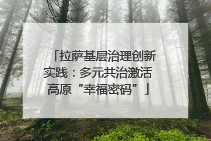拉萨基层治理创新实践：多元共治激活高原“幸福密码”