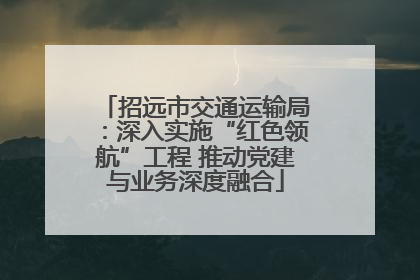 招远市交通运输局：深入实施“红色领航”工程 推动党建与业务深度融合