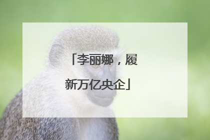 李丽娜，履新万亿央企