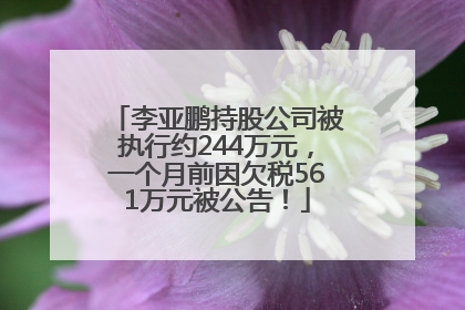 李亚鹏持股公司被执行约244万元，一个月前因欠税561万元被公告！