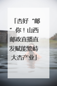 杏好“邮”你！山西邮政直播直发赋能繁峙大杏产业