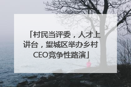 村民当评委，人才上讲台，望城区举办乡村CEO竞争性路演
