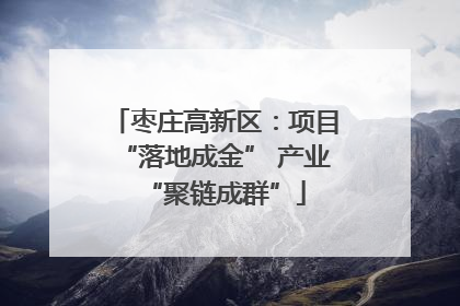 枣庄高新区：项目“落地成金” 产业“聚链成群”