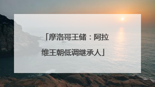 摩洛哥王储：阿拉维王朝低调继承人