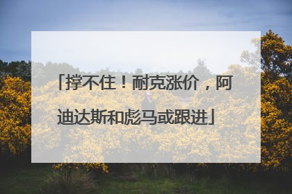 撑不住！耐克涨价，阿迪达斯和彪马或跟进