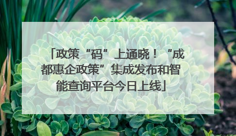 政策“码”上通晓！“成都惠企政策”集成发布和智能查询平台今日上线