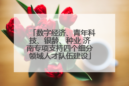 数字经济、青年科技、银龄、种业 济南专项支持四个细分领域人才队伍建设