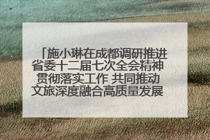 施小琳在成都调研推进省委十二届七次全会精神贯彻落实工作 共同推动文旅深度融合高质量发展 加快打造支柱产业民生产业幸福产业