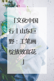 文化中国行丨山东巨野：工笔画绽放致富花