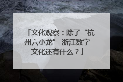 文化观察：除了“杭州六小龙” 浙江数字文化还有什么？