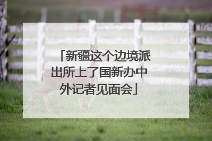 新疆这个边境派出所上了国新办中外记者见面会