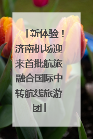 新体验！济南机场迎来首批航旅融合国际中转航线旅游团