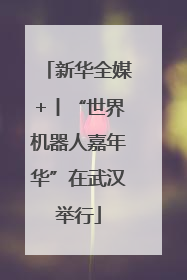 新华全媒+丨“世界机器人嘉年华”在武汉举行