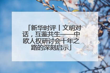 新华时评丨文明对话，互鉴共生——中欧人权研讨会十年之路的深刻启示