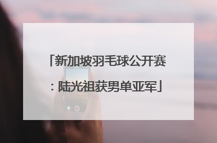 新加坡羽毛球公开赛：陆光祖获男单亚军