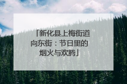 新化县上梅街道向东街：节日里的烟火与欢腾