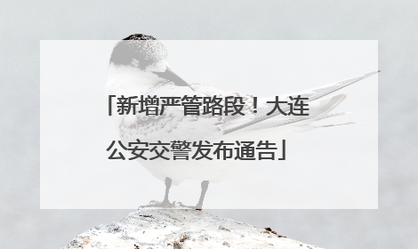 新增严管路段！大连公安交警发布通告