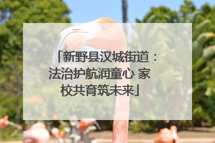 新野县汉城街道：法治护航润童心 家校共育筑未来