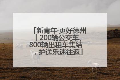 新青年·更好德州丨200辆公交车、800辆出租车集结，护送乐迷往返