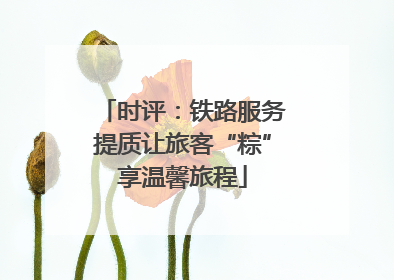 时评：铁路服务提质让旅客“粽”享温馨旅程