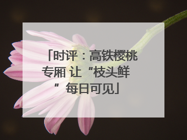 时评：高铁樱桃专厢 让“枝头鲜”每日可见