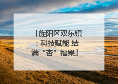 旌阳区双东镇：科技赋能 结满“杏”福果