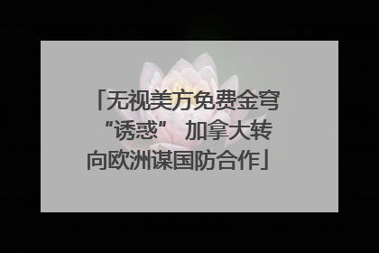 无视美方免费金穹“诱惑” 加拿大转向欧洲谋国防合作