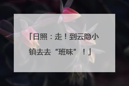 日照：走！到云隐小镇去去“班味”！