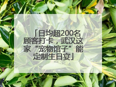 日均超200名顾客打卡，武汉这家“宠物馆子”能定制生日宴